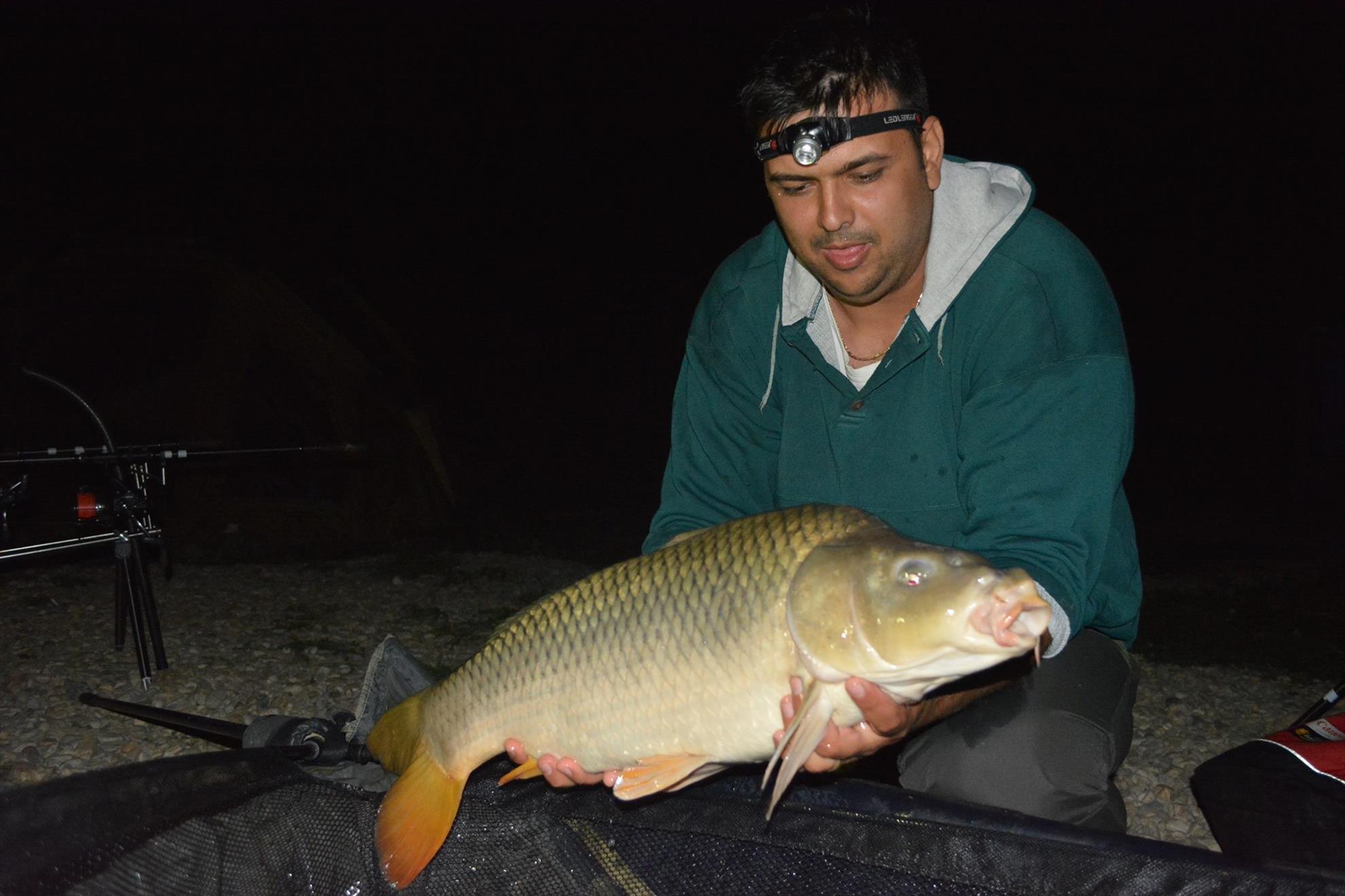 Hermes Peris 12 - 13 septembrie 2014 - 10677230611521872298813679025447o.jpg